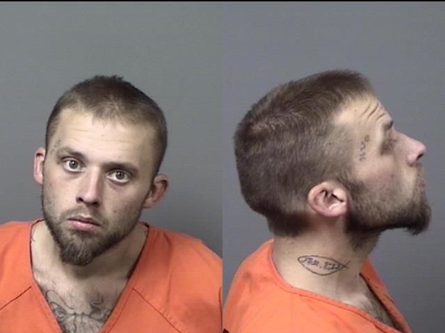 Michael Bagley Jr. arrested Feb. 5 on a felony charge of possession of a controlled substance and a misdemeanor charge of possession of cannabis.